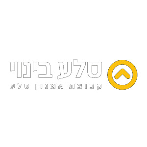 סלע בינוי